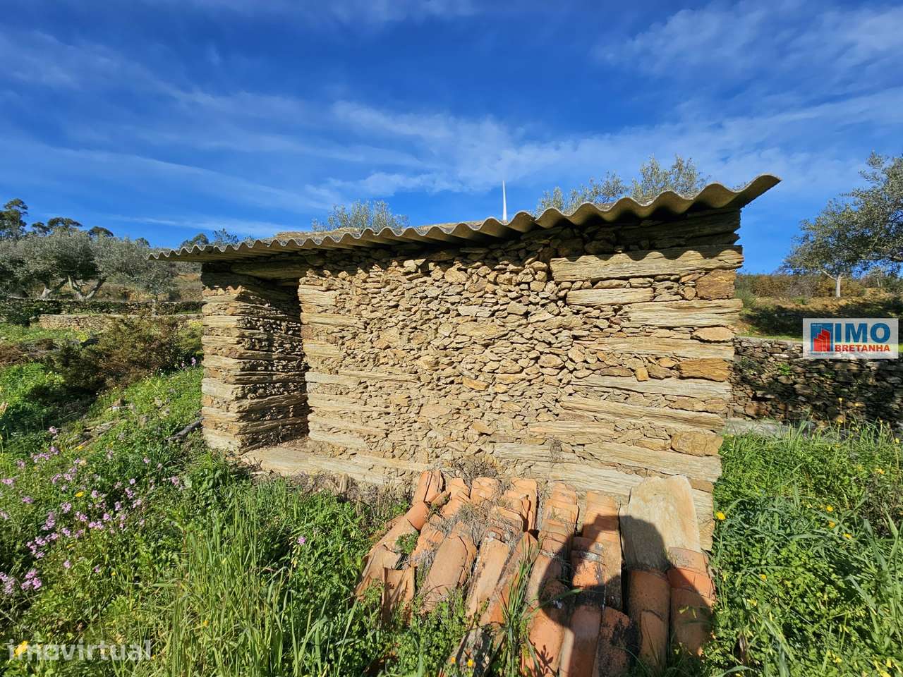 Quinta c/ 3.500m2 -  Cebolais de Cima-Retaxo - Grande imagem: 3/14