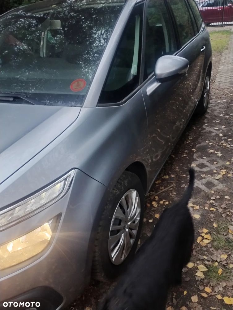 Citroën C4 SpaceTourer 1.2 PureTech Origins S&S - 9