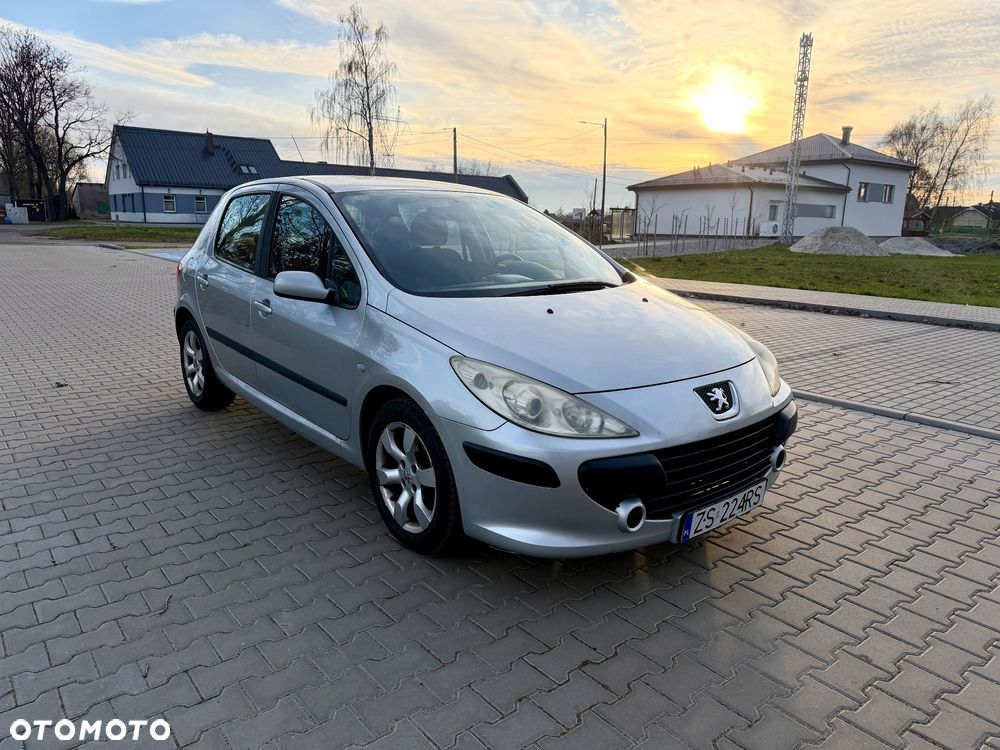 Peugeot 307 1.4 Presence - 1