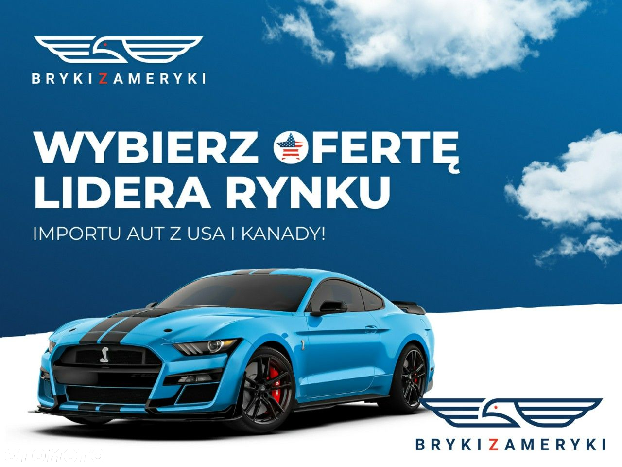 BMW Seria 5 - 2