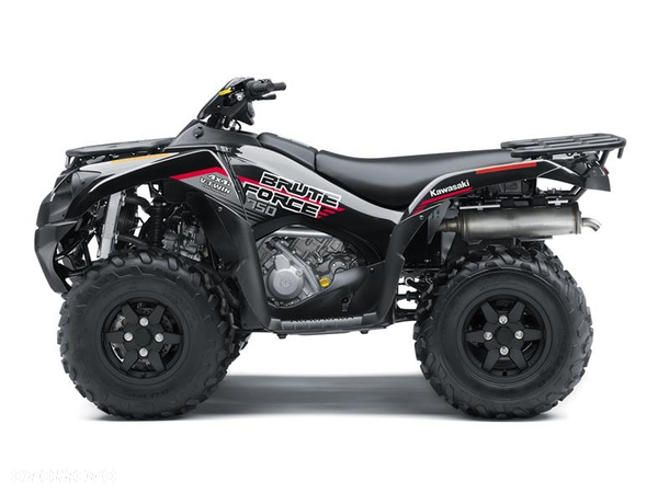 Kawasaki Brute Force