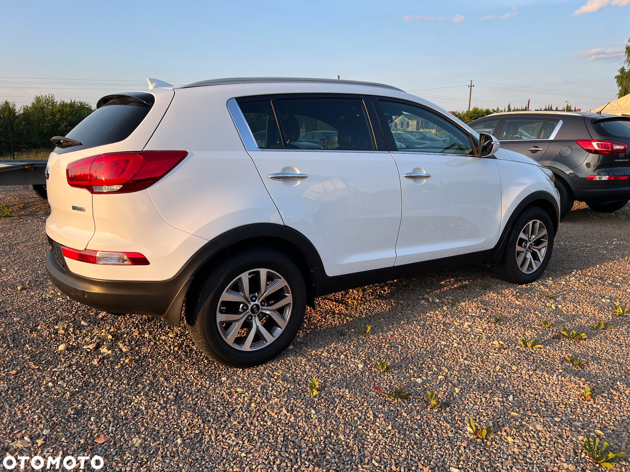 Kia Sportage 1.6 GDI Business Line 2WD - 8
