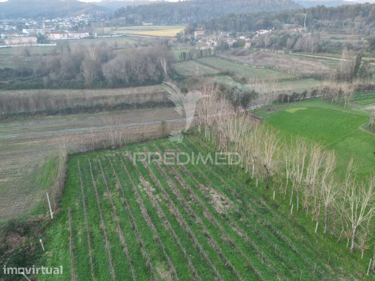 Terreno em Briteiros Santo Estêvão - Guimarães - Grande imagem: 5/10