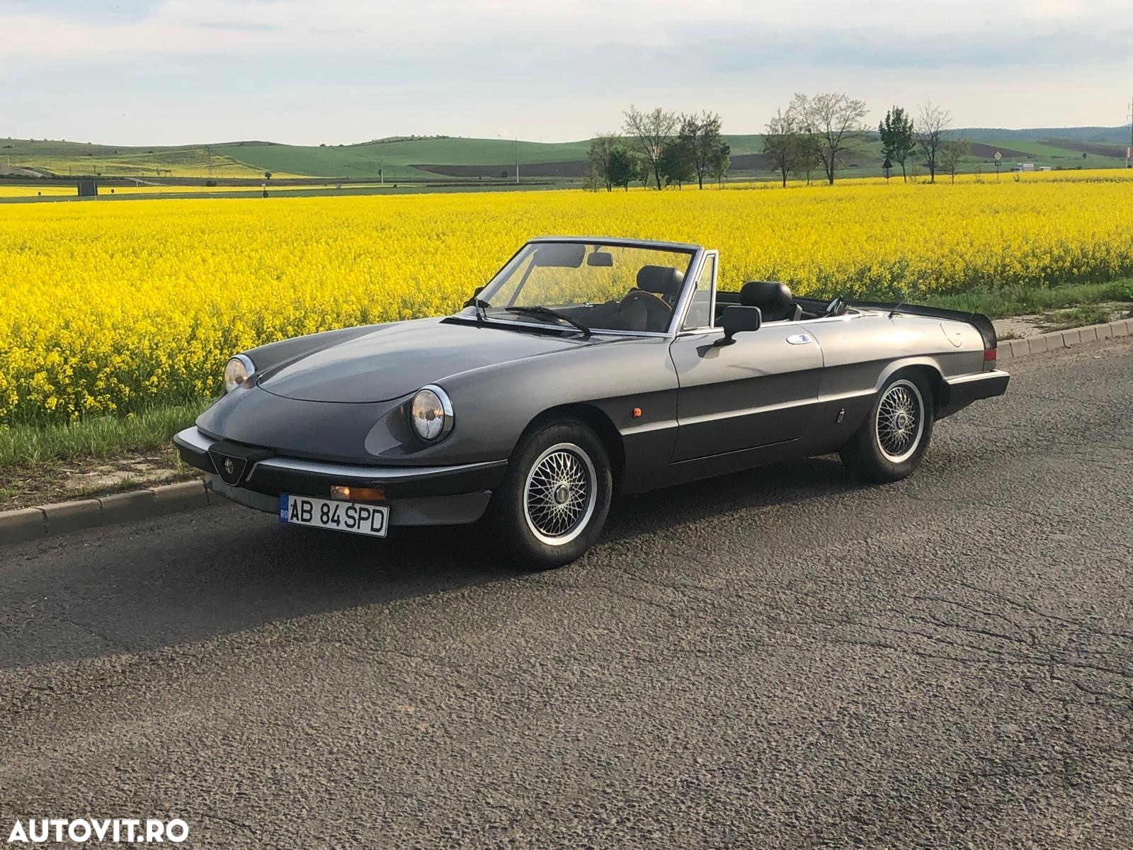 Alfa Romeo Spider - 8