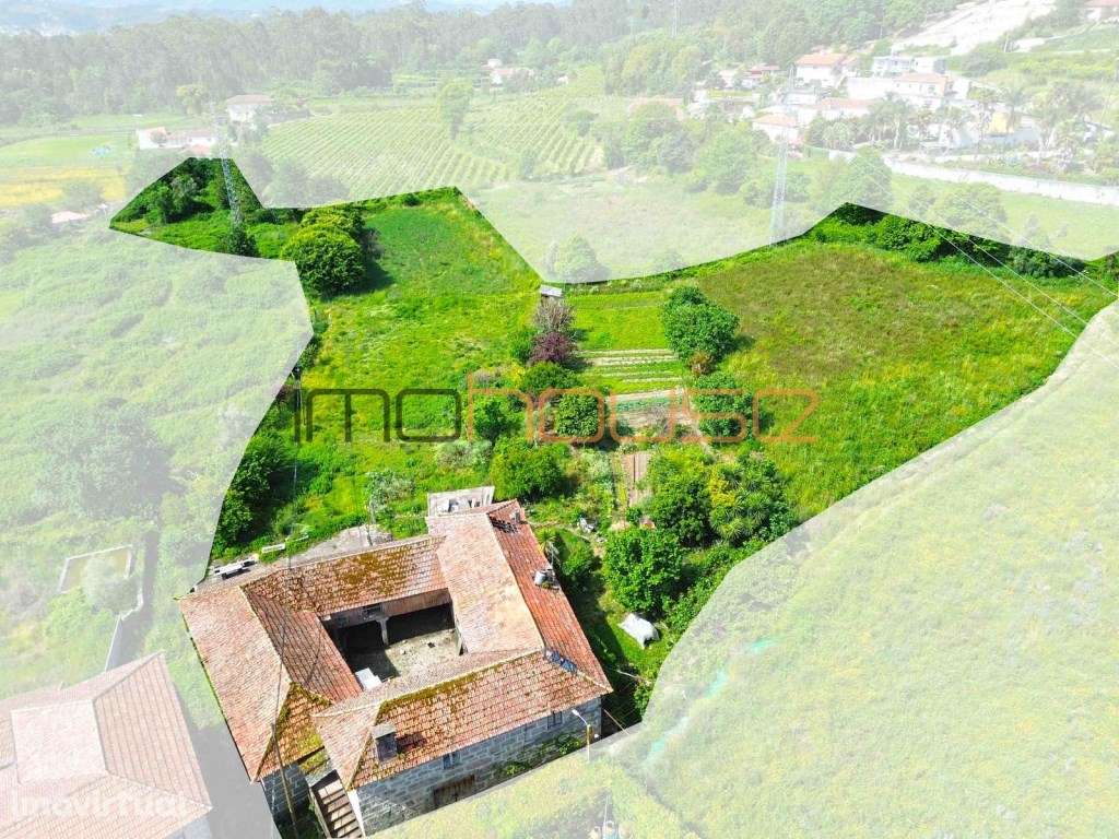 Quinta Tradicional com Terreno Plano e Ribeiro - A 22 min. do Porto - Grande imagem: 3/22