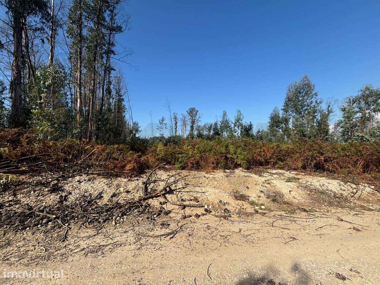 Terreno com 4400 m2 - Grande imagem: 2/6