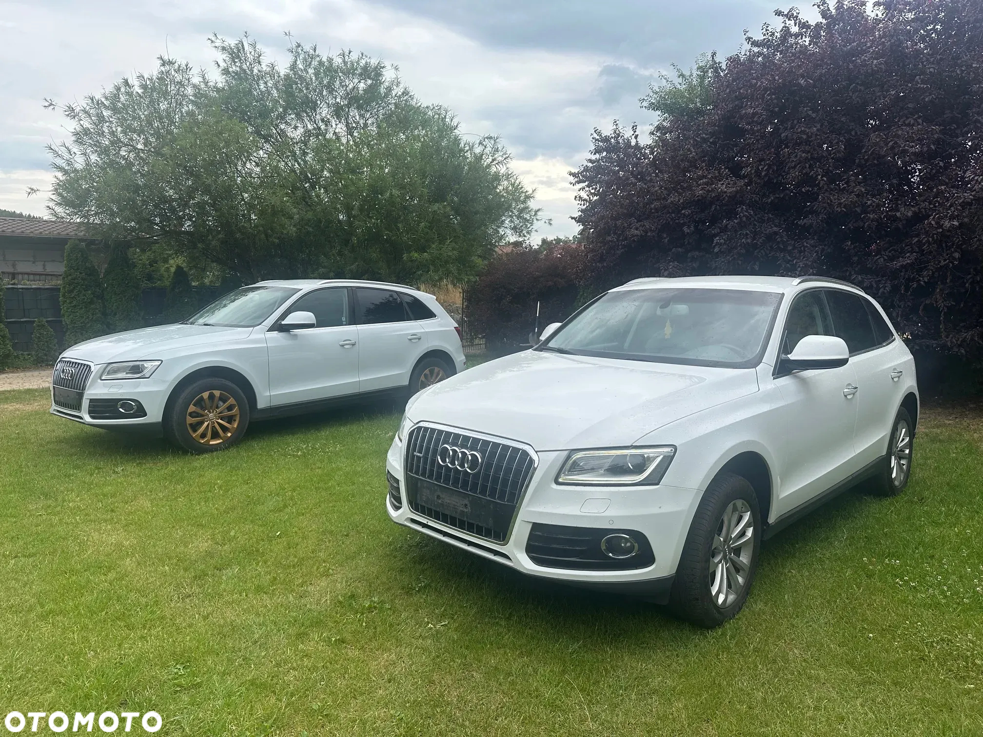 Audi Q5 2.0 TDI clean diesel Quattro S tronic - 18