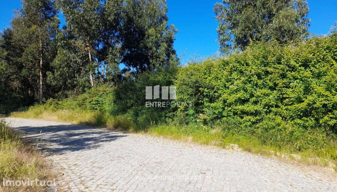 Venda Terreno com possibilidade de construção, Rosém, Marco de Cana - Grande imagem: 5/30