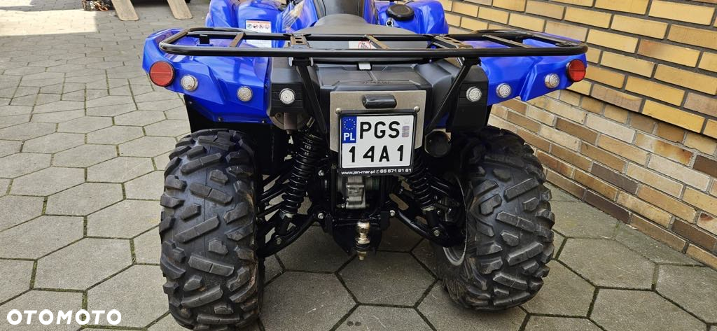 Yamaha Grizzly - 8