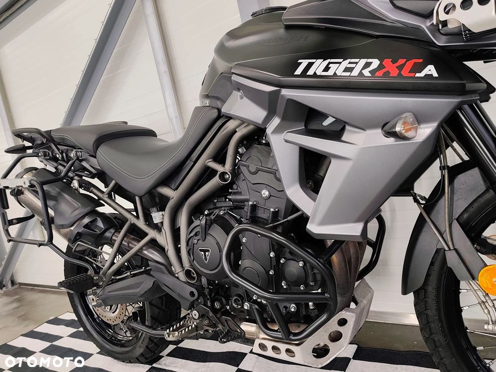 Triumph Tiger - 6