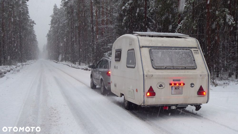 Niewiadów N-132 - 40