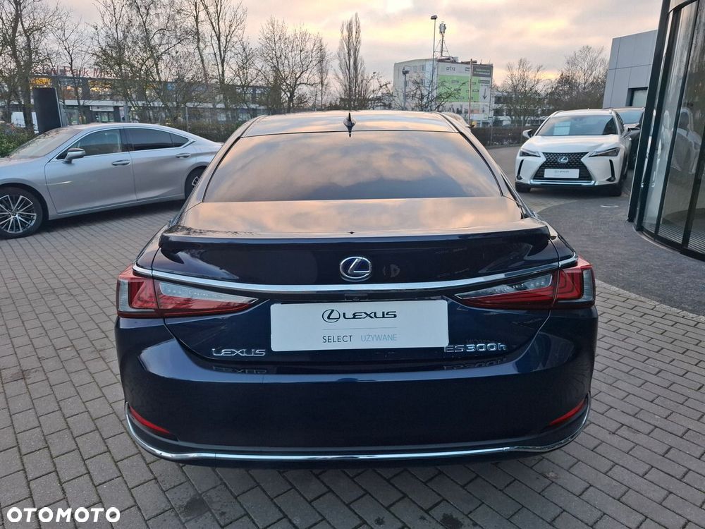 Lexus ES 300h Omotenashi - 4