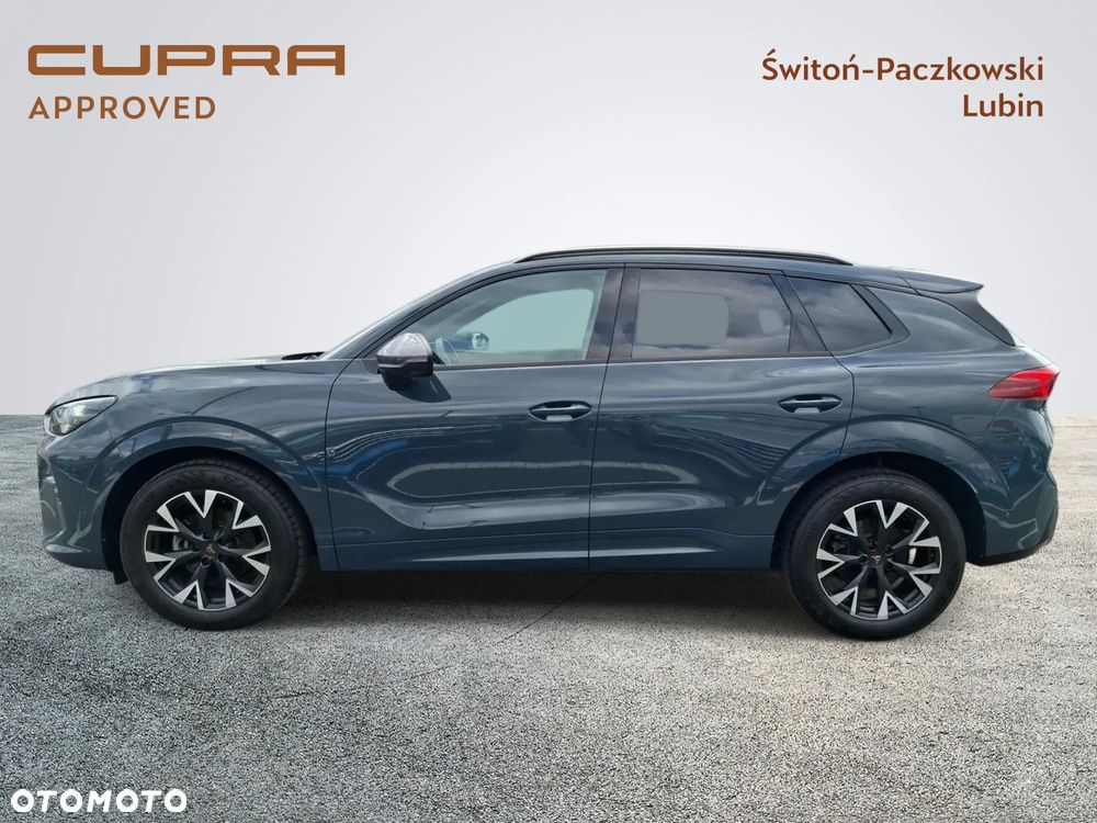 Cupra Terramar - 2