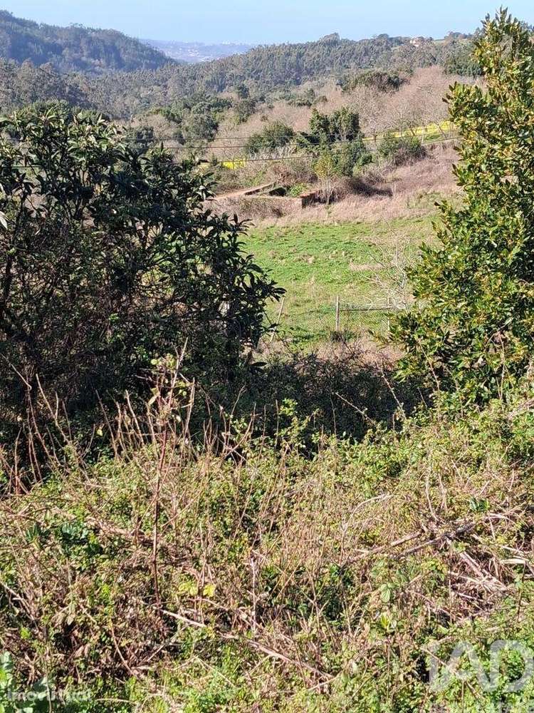 Terreno misto em Turquel - Grande imagem: 4/9