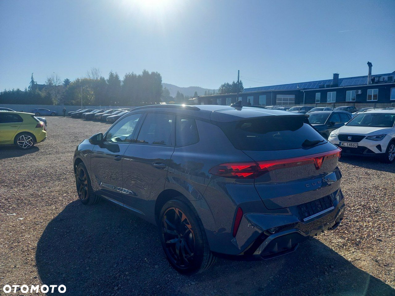 Cupra Terramar - 7