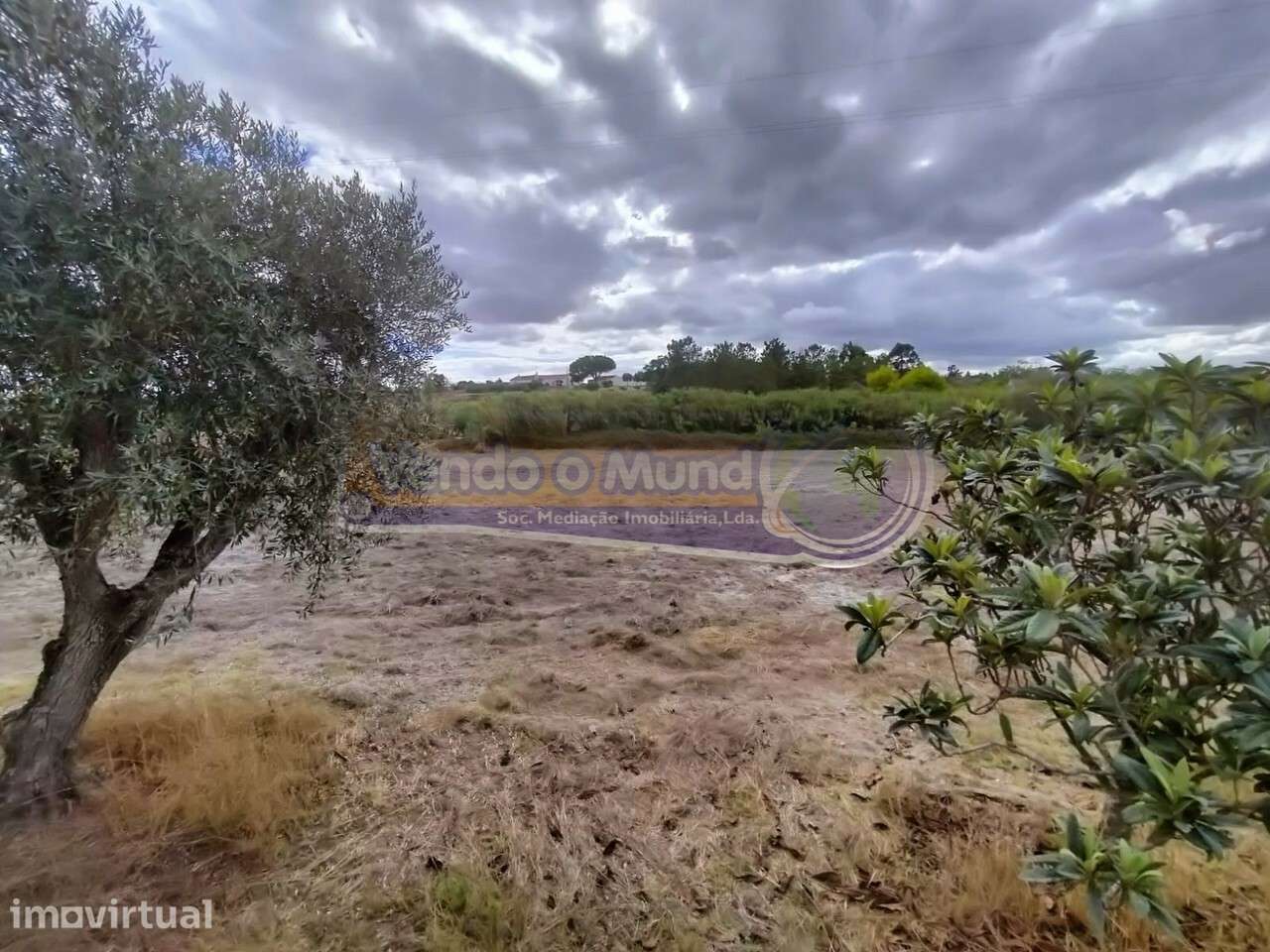 Terreno em Biscaínho, Coruche (CRCH131) - Grande imagem: 5/17