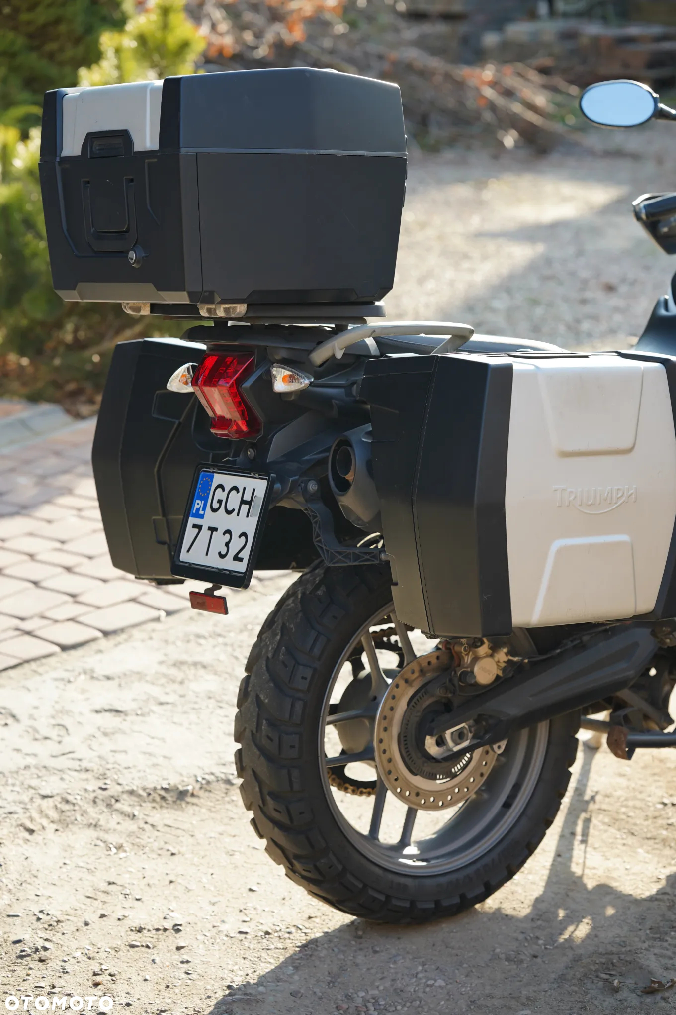 Triumph Tiger - 32