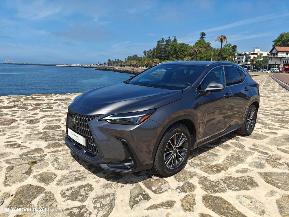 Lexus NX 350h Executive Plus - 7