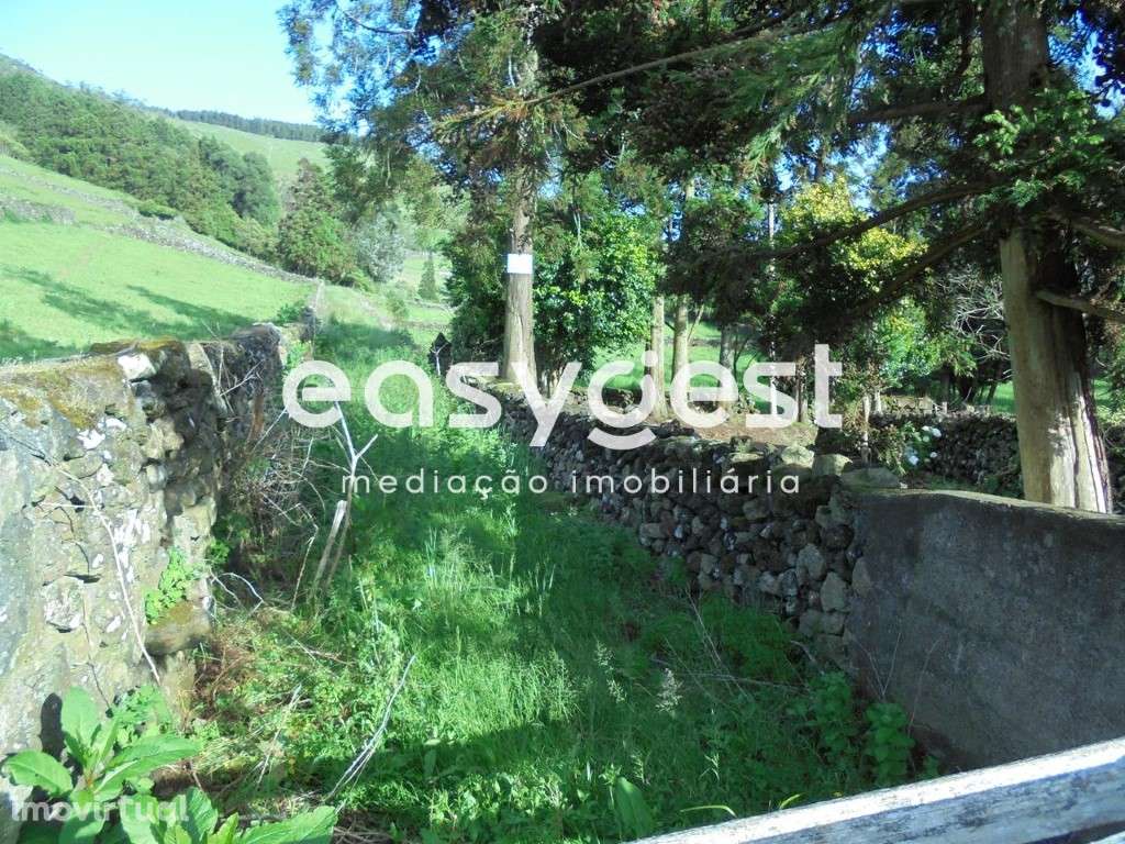 Terreno Rustico localizado em Terra-Chã Destinado a Lavoura ou Pecu... - Grande imagem: 4/7