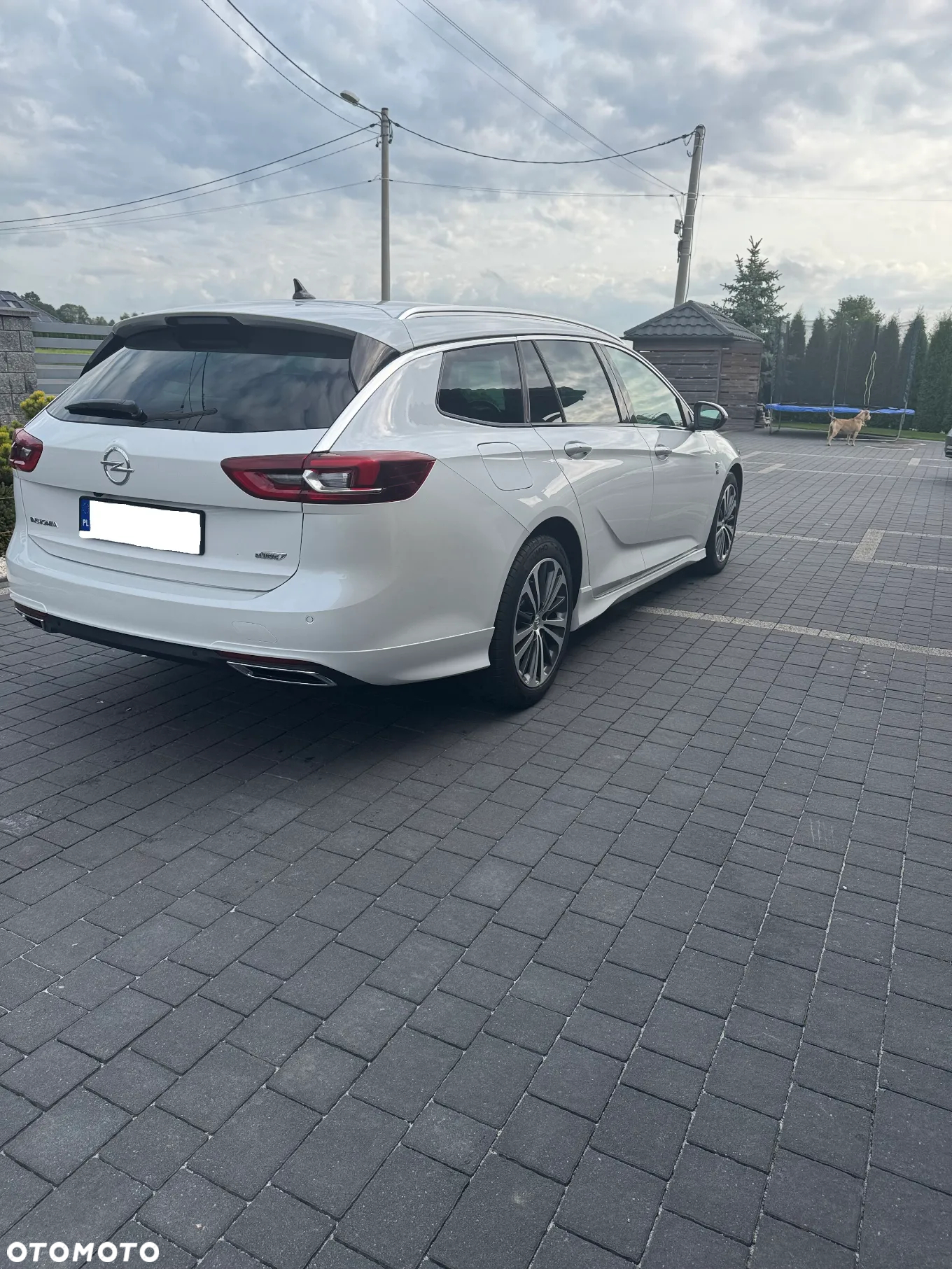 Opel Insignia 2.0 CDTI Exclusive S&S - 16