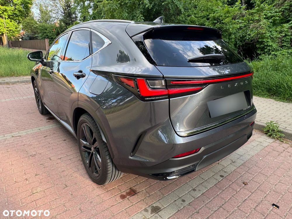 Lexus NX 350h Prestige AWD - 7