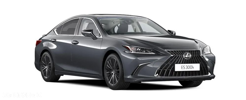Lexus ES 300h Business Edition - 2