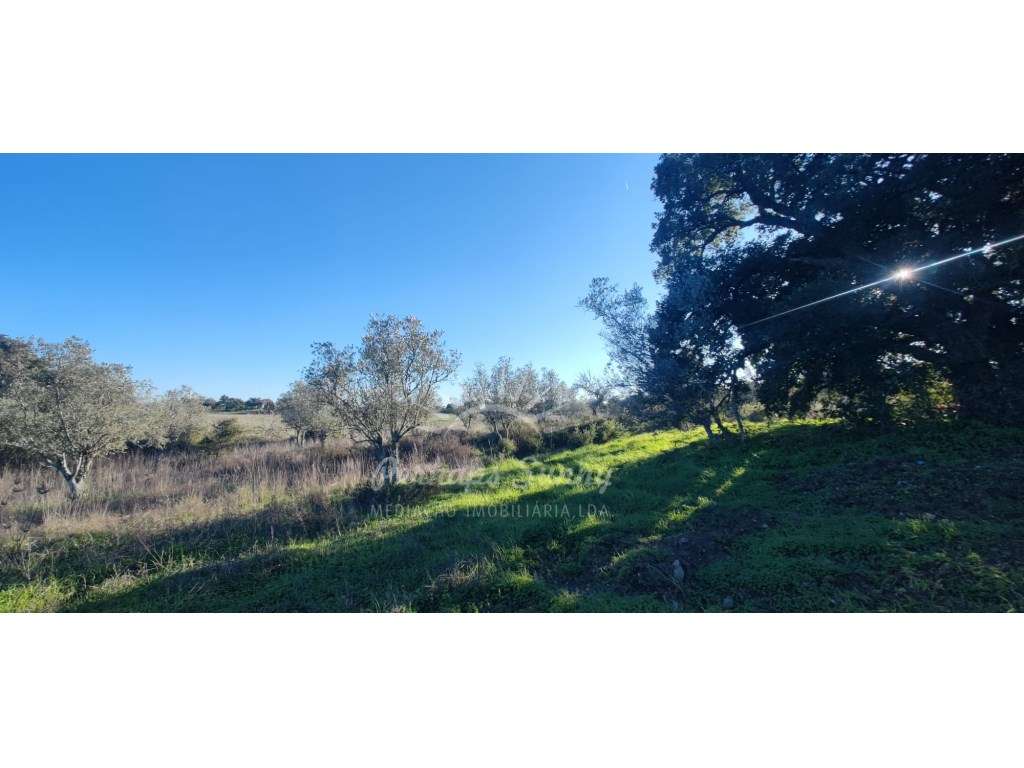 TERRENO RÚSTICO PARA VENDA - UMA OPORTUNIDADE NA SERRA DE GRÂNDOLA - Grande imagem: 4/21