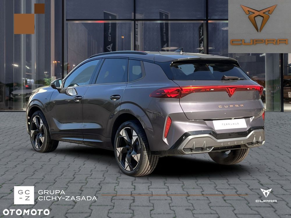 Cupra Terramar - 4