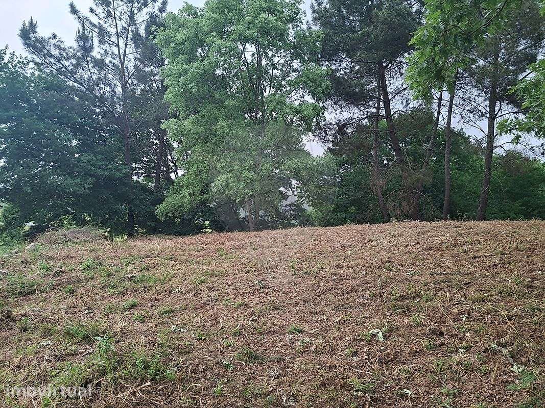 Terreno  para venda - Grande imagem: 4/4
