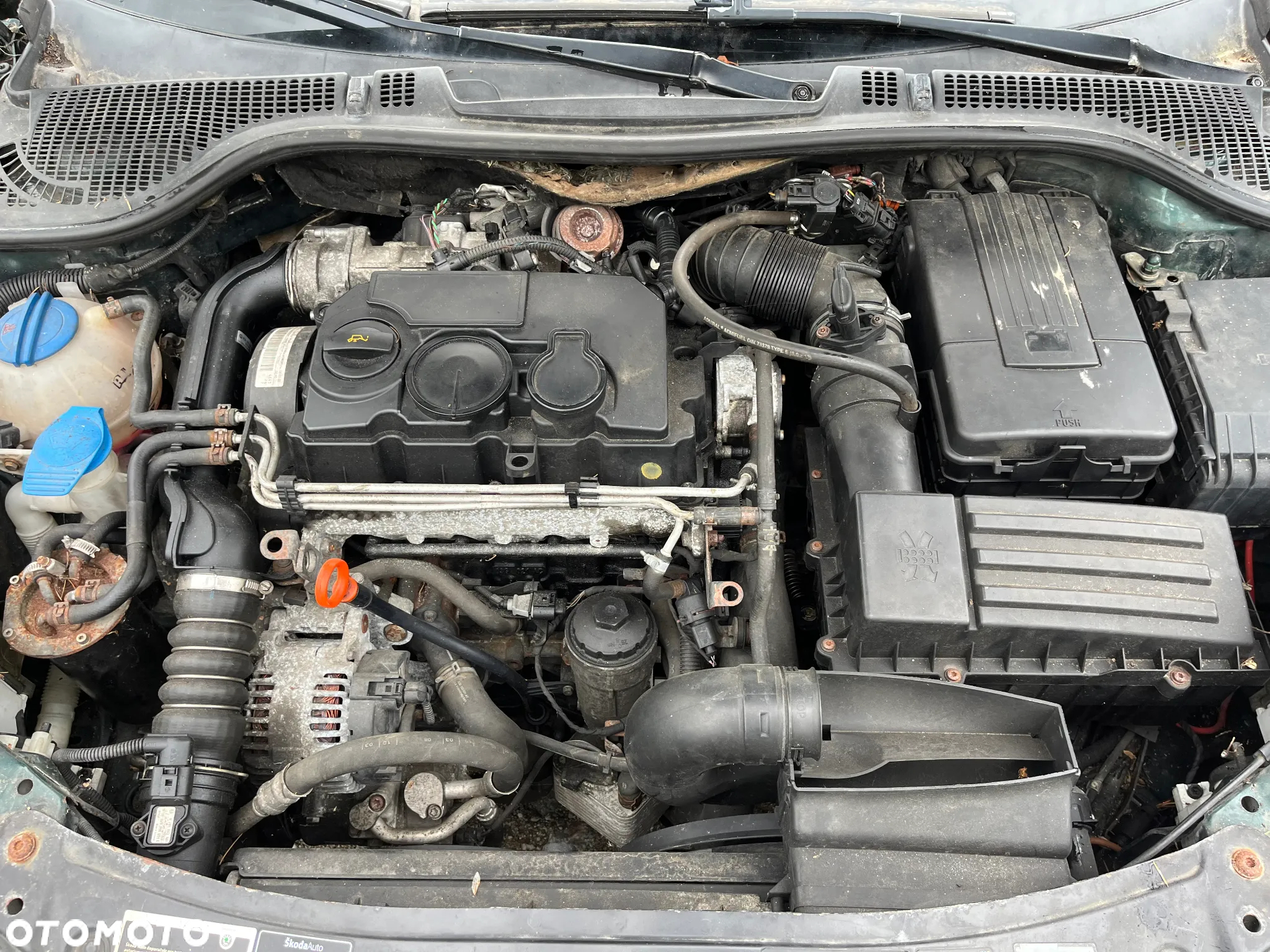 Skoda Octavia - 4