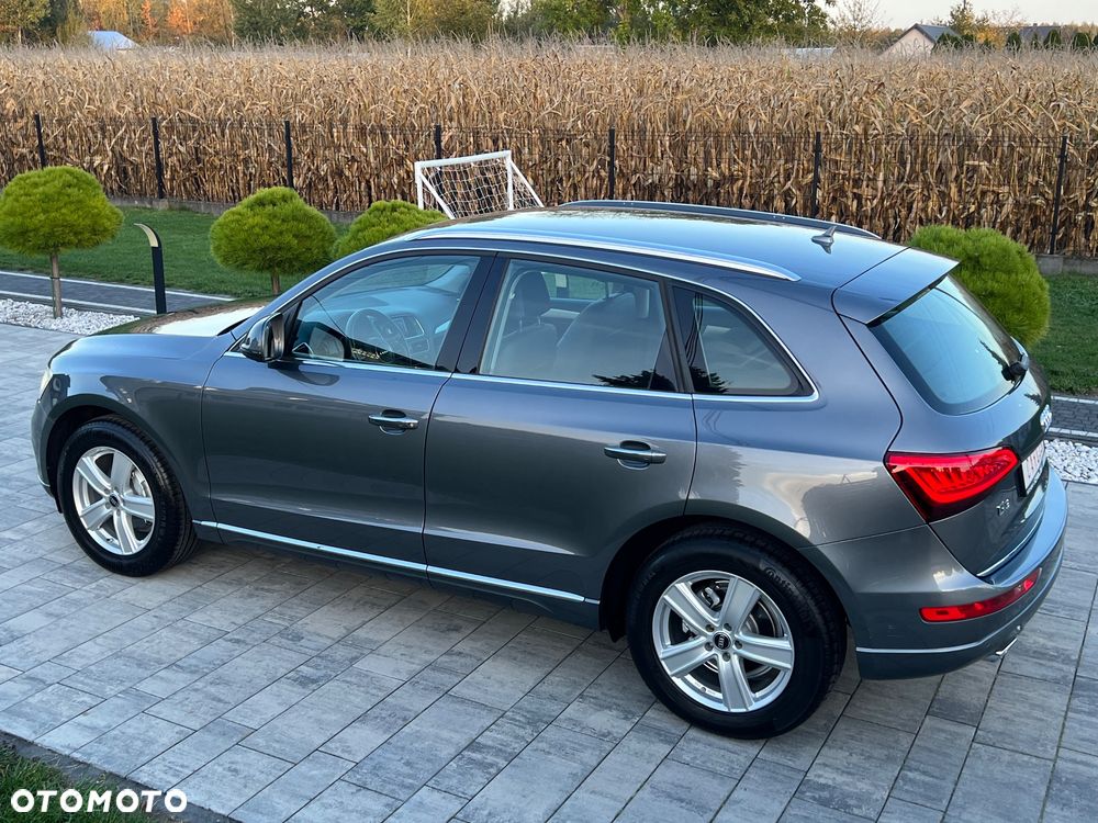 Audi Q5 - 16