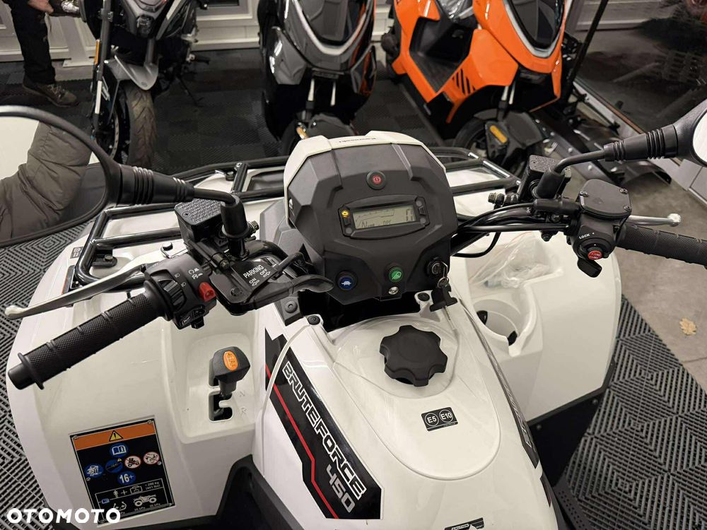 Kawasaki Brute Force - 5