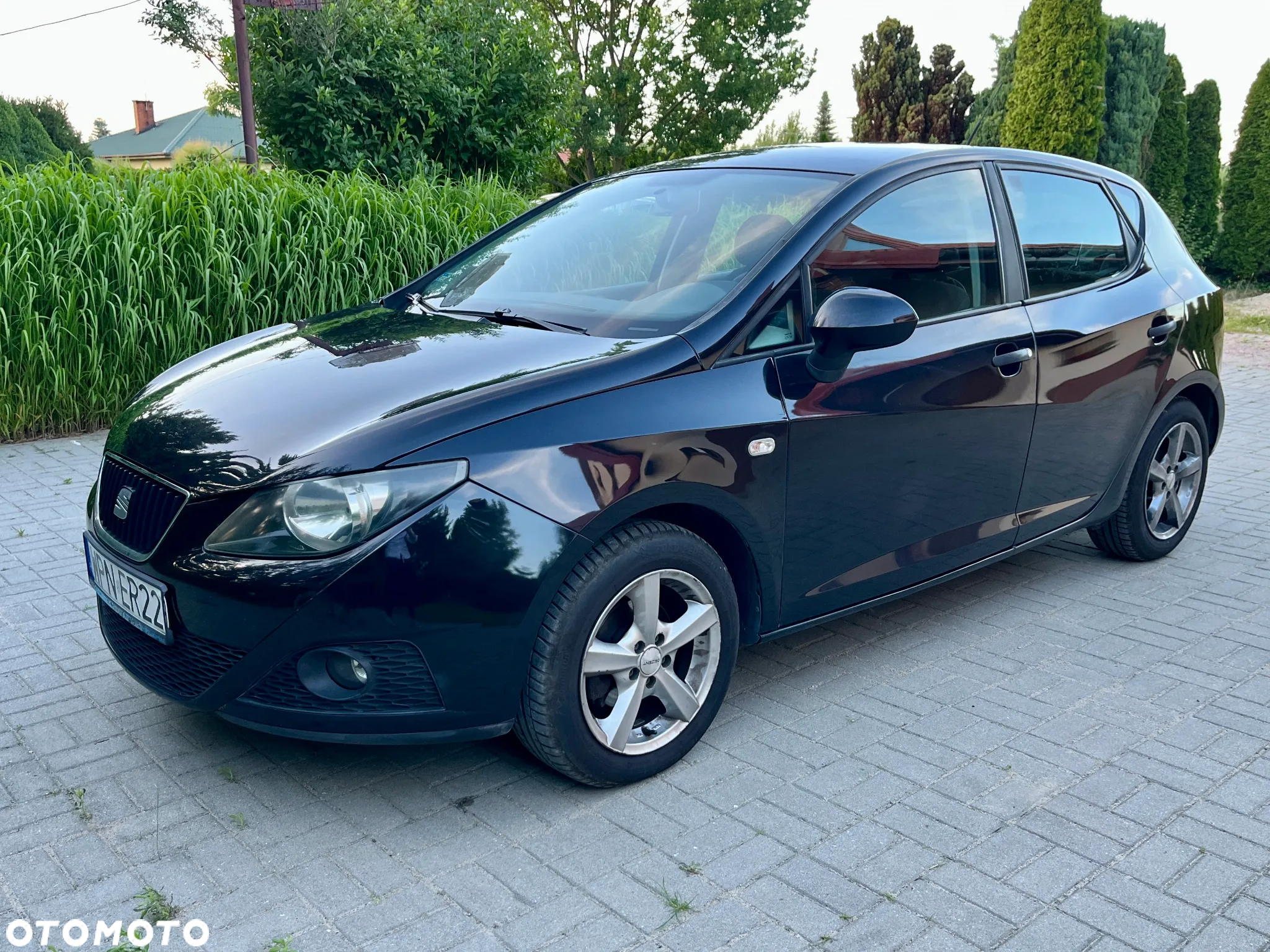Seat Ibiza - 2