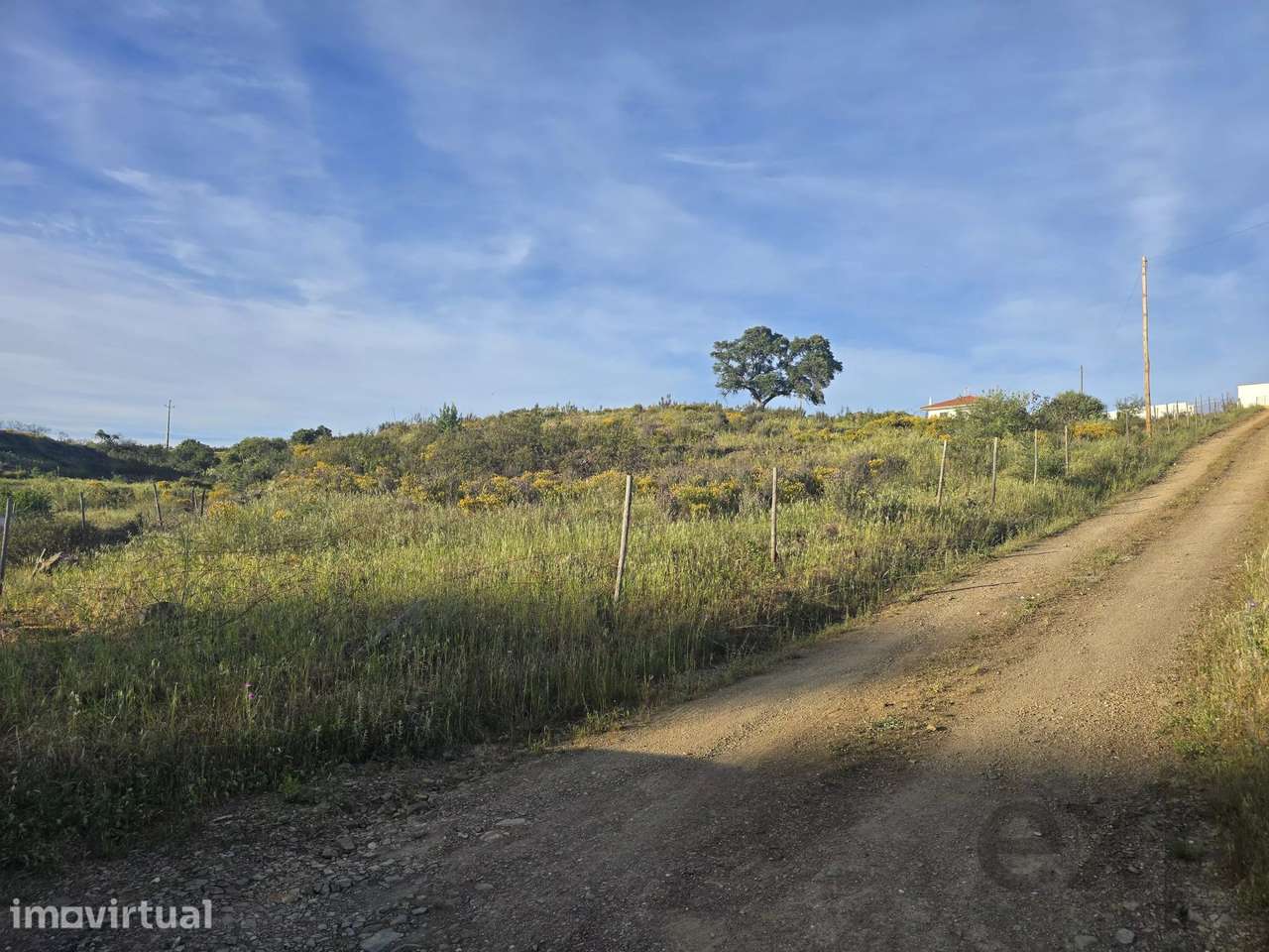Terreno rustico Corte Antonio Martins com um hectar - Grande imagem: 2/12
