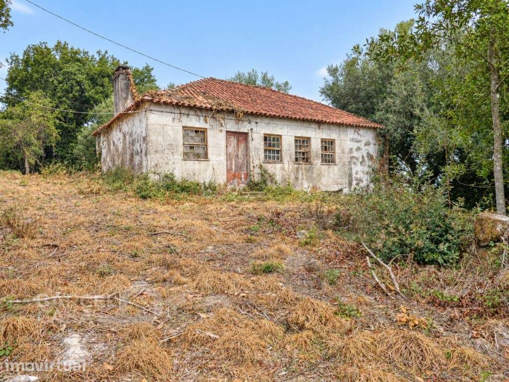 Moradia isolada para recuperar em Panque, Barcelos com terreno de 4... - Grande imagem: 2/12