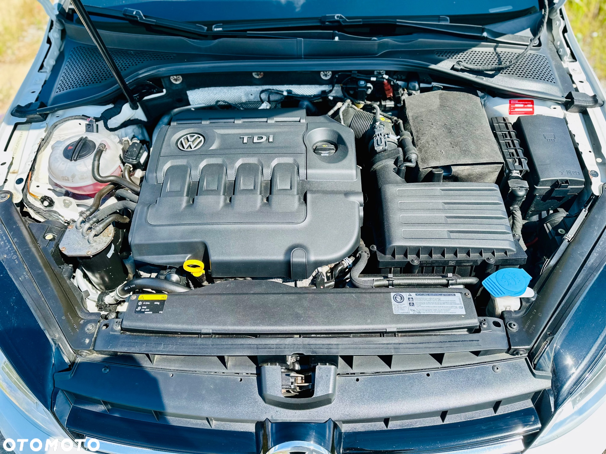Volkswagen Golf 1.6 TDI BlueMotion Trendline - 10