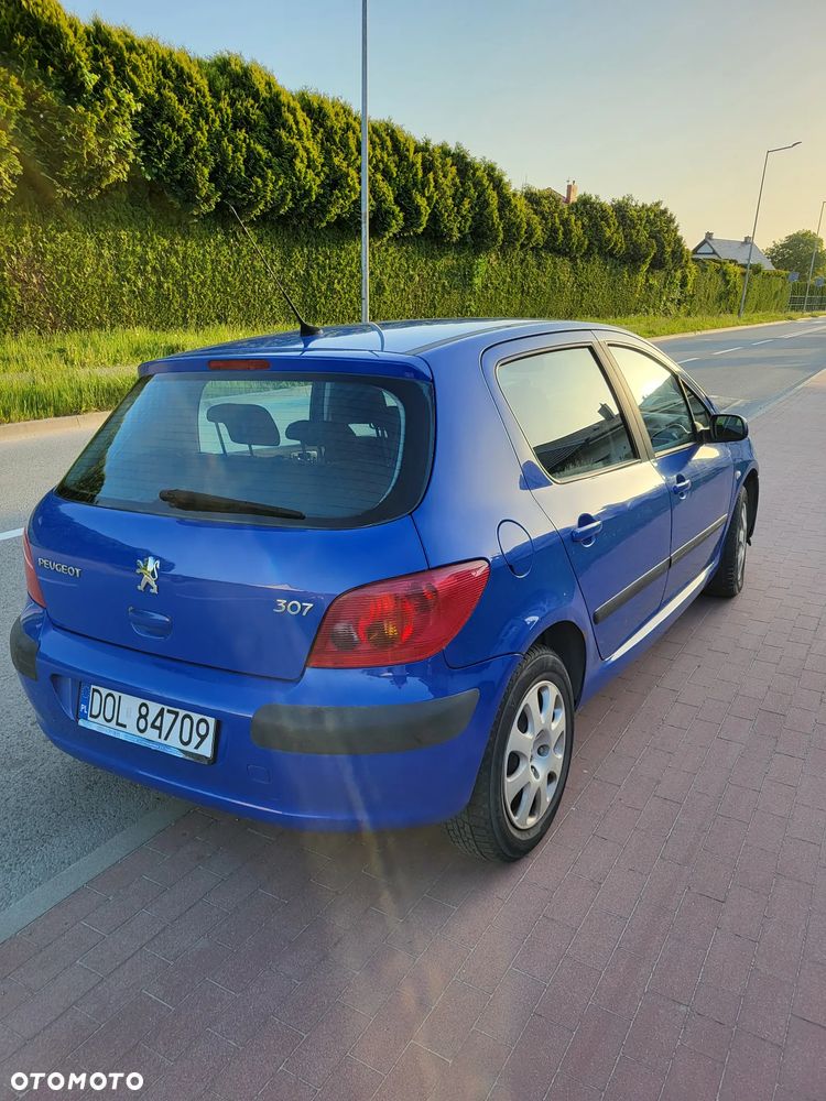 Peugeot 307 - 6