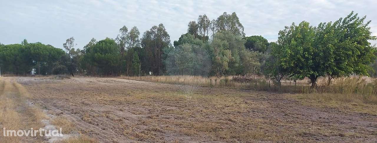 Terreno  para arrendamento - Grande imagem: 3/4