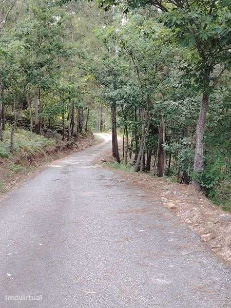 Vistas deslumbrantes, no meio da natureza, em Ribeira de Pena. - Grande imagem: 3/5