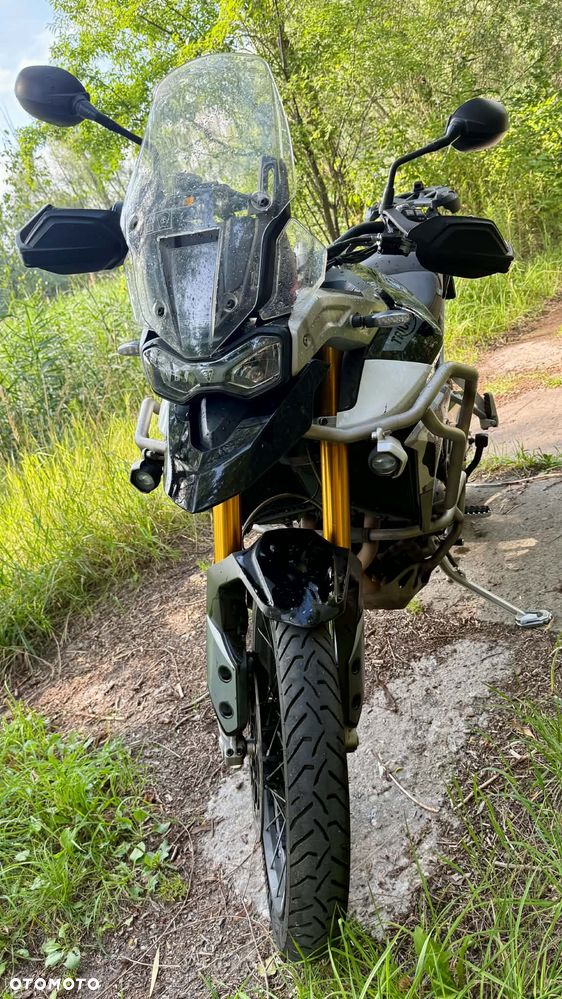 Triumph Tiger - 9