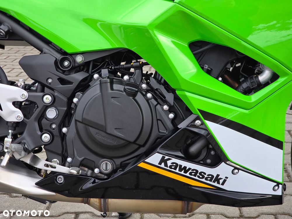 Kawasaki Ninja - 10