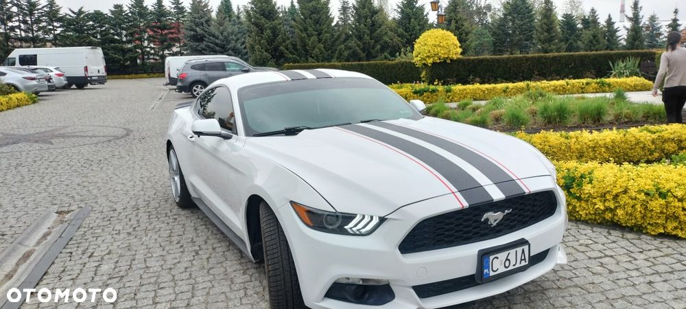 Ford Mustang 2.3 EcoBoost - 17