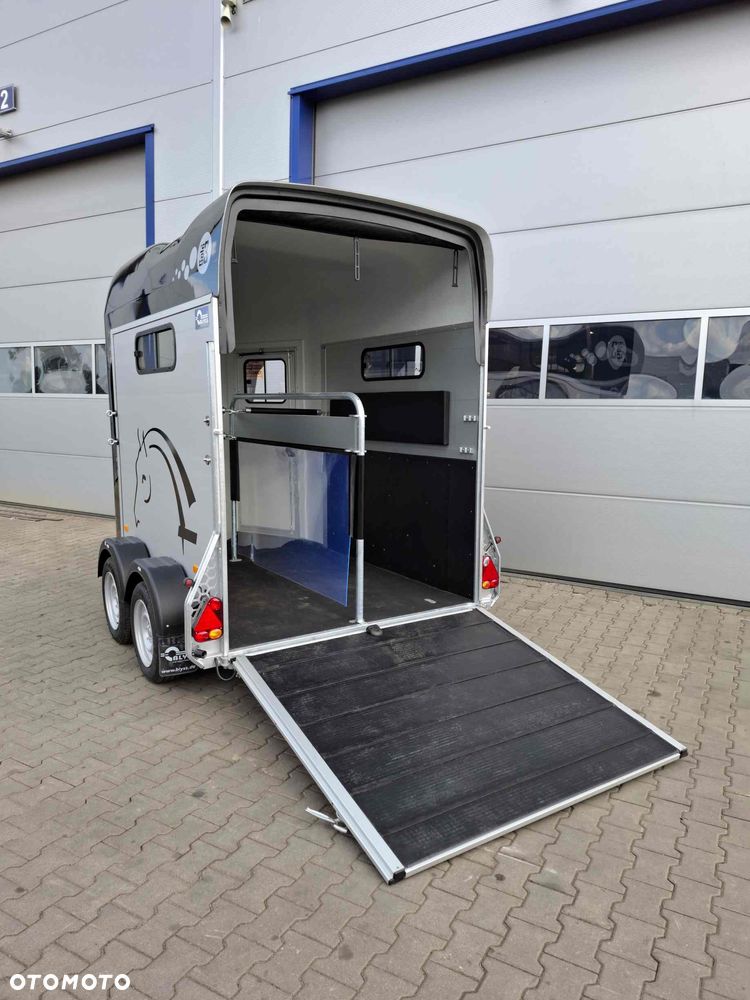 Blyss Cheval Liberté Gold III - 13