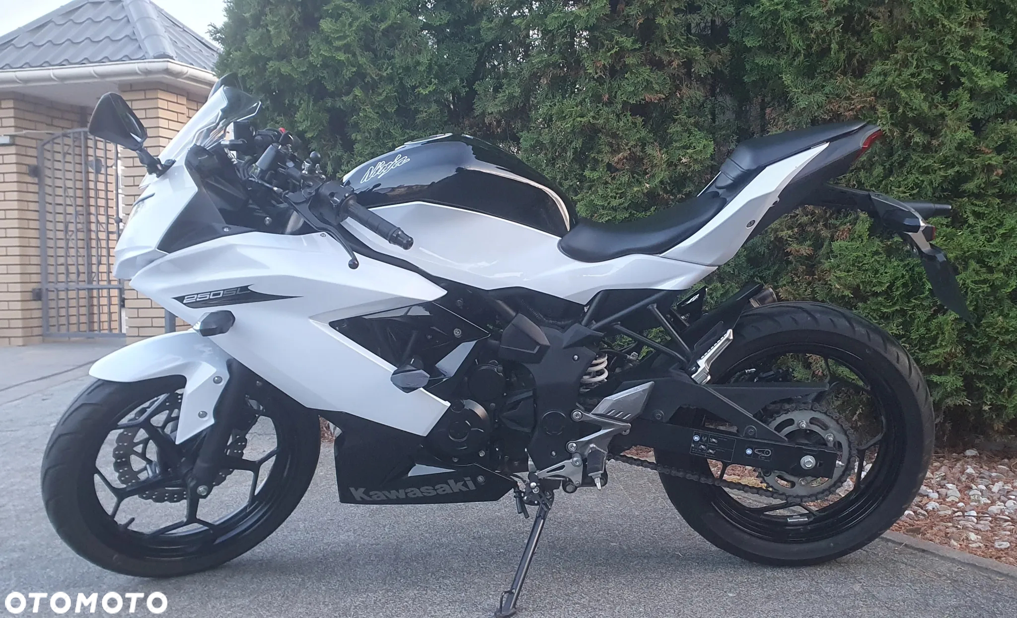 Kawasaki Ninja 250R - 5