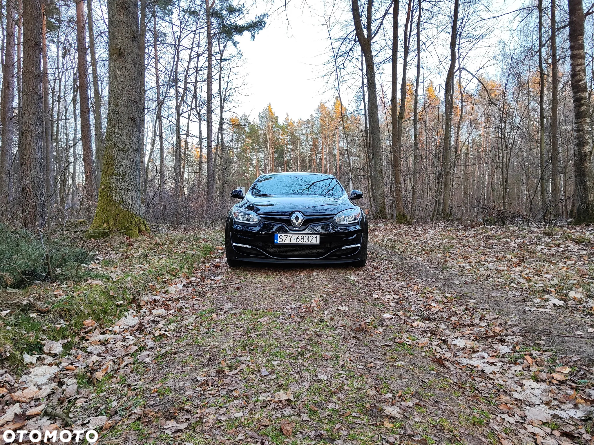 Renault Megane R.S EU6 - 6