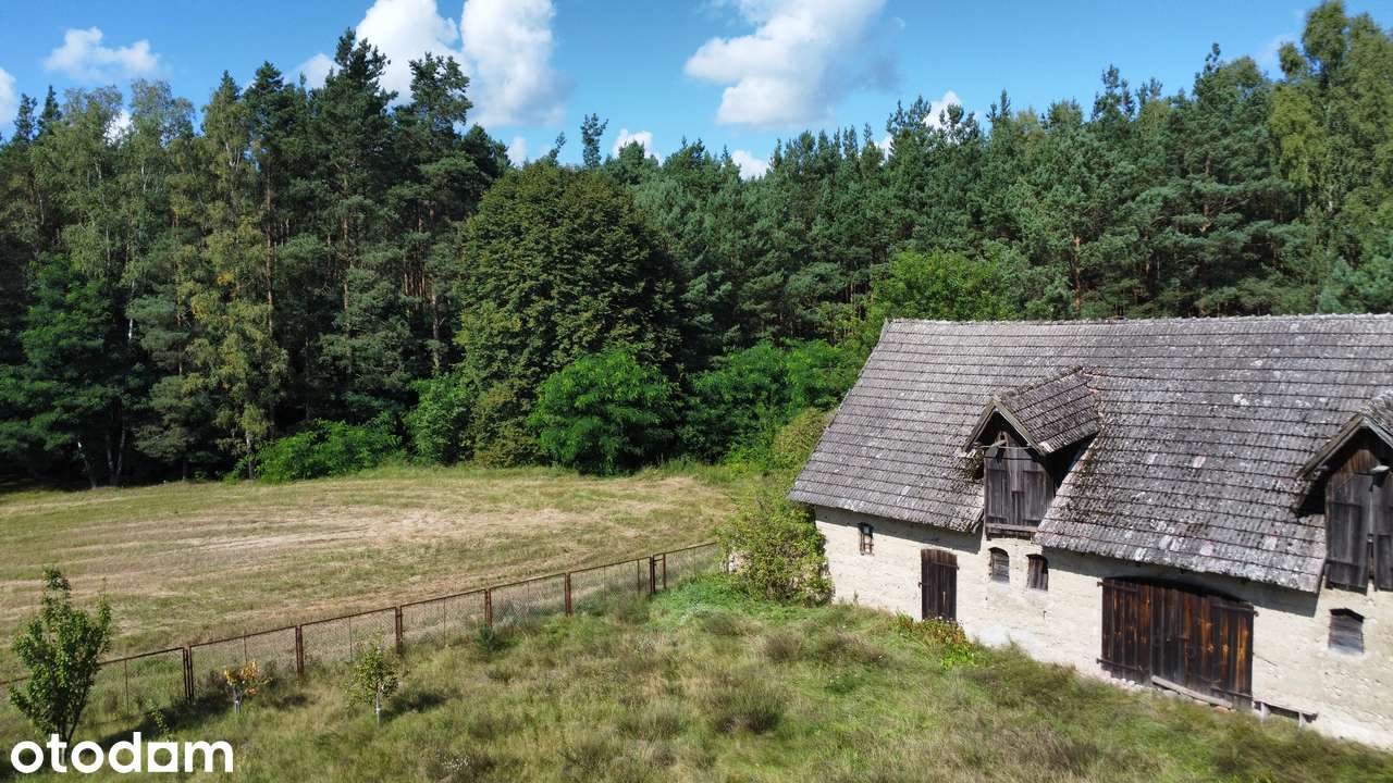 Nieruchomość inwestycyjna – dworek oraz 4,99 ha z możliwością podziału - Pełny obrazek: 5/8