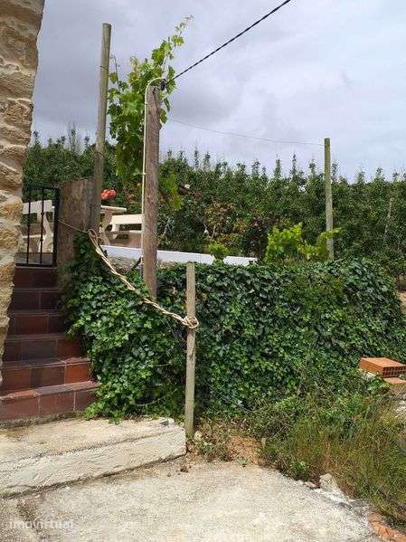 Moradia no meio da natureza,  House in the middle of nature – Óbidos - Grande imagem: 2/12