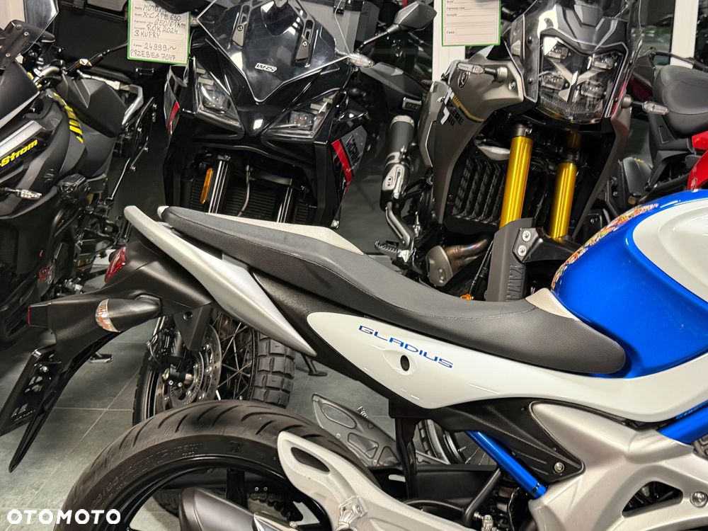 Suzuki Gladius - 10