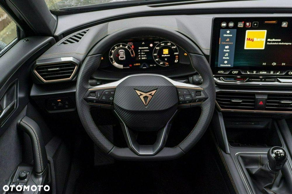 Cupra Formentor - 19
