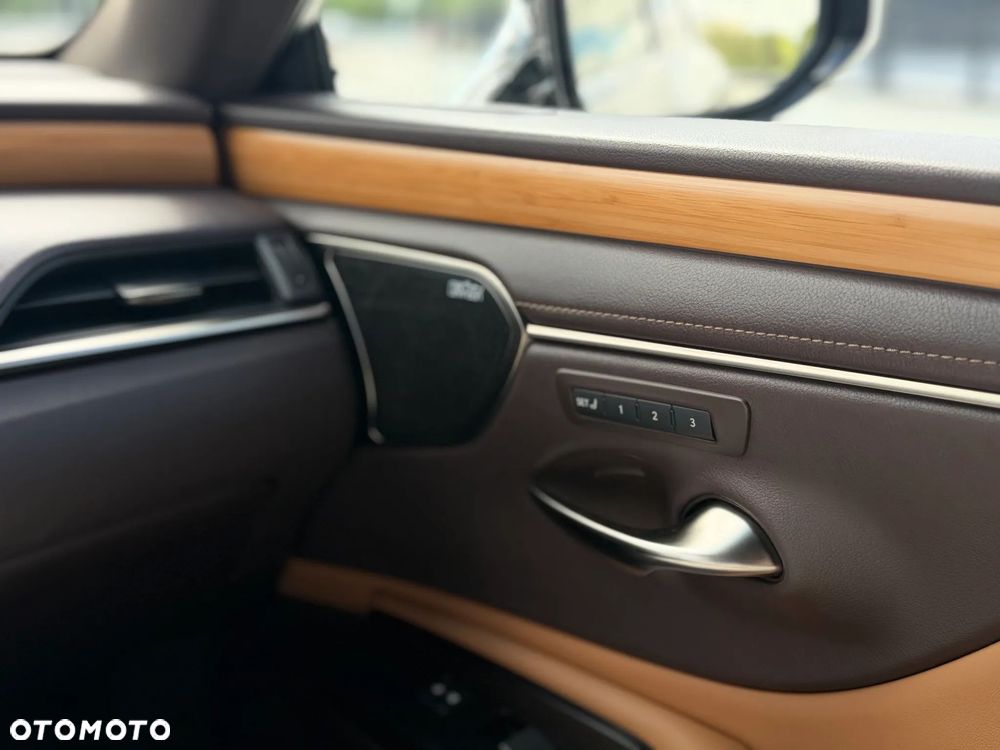 Lexus ES 300h Omotenashi - 22